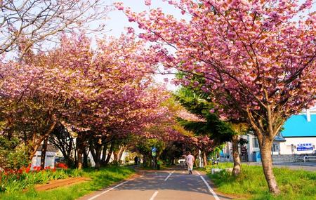 2012-5-21金環日食 039.jpg